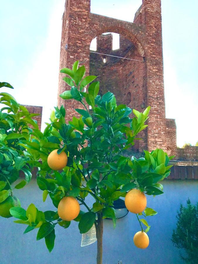 Ca' Del Sole - Attico Panoramico In Centro Storico Διαμέρισμα Montagnana  Εξωτερικό φωτογραφία